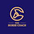 create a professional watercolor horse logo