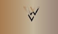 design professional versatile logo within 6 hrs