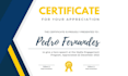 design certificate  with professional and unique way