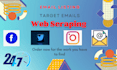 do fastest email scraping with low price