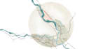create architectural mapping, site analysis