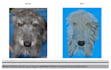 do human, animal pet images to embroidery digitizing in dst