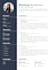 write a professional resume and upgrade your CV