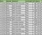 do perfect and presentable data entry in excel