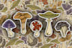 create a custom sticker design for you