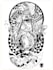 do tattoo design color and line art