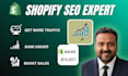 do advance shopify SEO and speed up shopify store