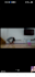 teach kids yoga online
