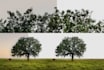 professionally erase background with clipping path of 30 images in 2 hours