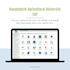 do bug fixes and custom website development using vuejs, vuetify, laravel
