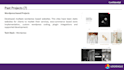 provide php based web development service