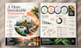 design professional annual reports and business reports