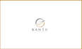create a custom travel and hotel logo design
