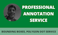 do image annotation, bounding boxes,labeling or segmentation