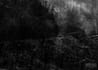 give your photographs a gritty atmosphere