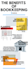do bookkeeping accounting records