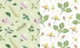 create a botanical pattern or floral pattern