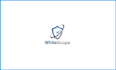 create gorgeous crypto cyber security tech and technology logo design