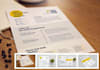 rewrite edit design resume cover letter in 24 hours
