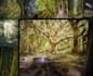 create surrealistic picture with photoshop