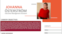 provide executive tech it, ats, and resume writing services