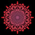 create unique high resolution mandala designs