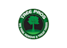 provide a stunning eye catchy logo design