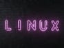 cyber security and network expert highly