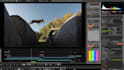 be your best video editor in fiverr