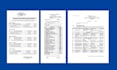 type image to text, copy paste, data entry in word excel