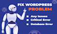 fix wordpress problems or issues, errors on your website