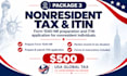 advise foreign owned US llcs on US tax compliance