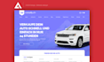 design and develop a professional wordpress website and blog