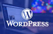 création de site web responsive et professionnel avec wordpress