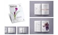 design brochure and magazine