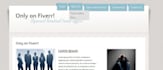 create a professional website