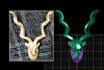 exquisite 3d jewelry designs transforming imagination into reality