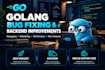 develop a golang backend and rest apis