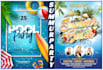 do summer party, beach party, pool party flyers