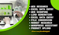 be your long term executive personal virtual assistant and project manager