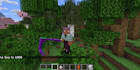 custom minecraft forge,fabric mods in java