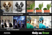 do professional photoshop retouch and background removal