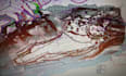create topographic contour lines from point cloud or elevation points