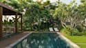 do landscape design, garden design, and backyard