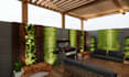 design garden, patio, swimming pool, and terrace