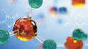 provide expert chemistry tutoring and project assistance