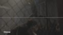 do professional rotoscoping, green screen remove, wire removal, compositing
