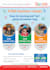 design a perfect promotional flyer for your brand