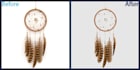 do clipping path and background remove services