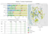 do powerful tableau dashboards and projects